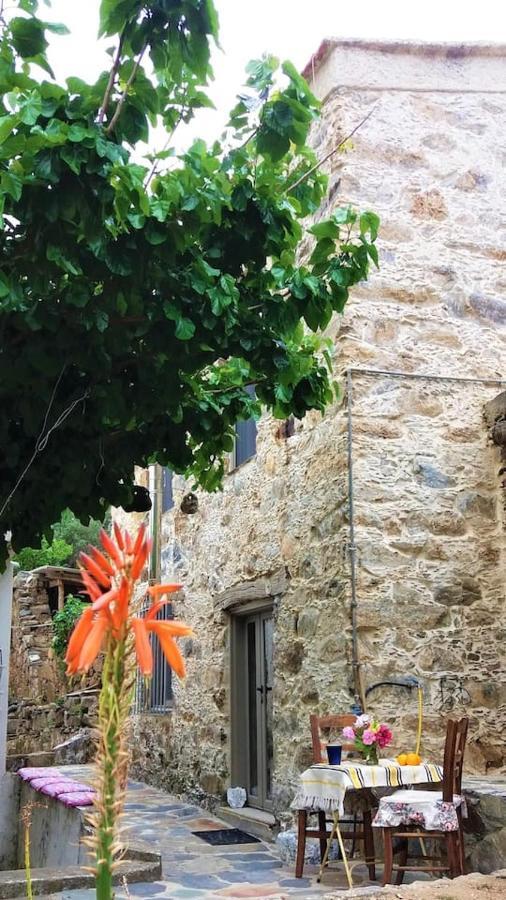 Vila Casa Pappadiana Traditional Stonehouse Kefálion Exteriér fotografie